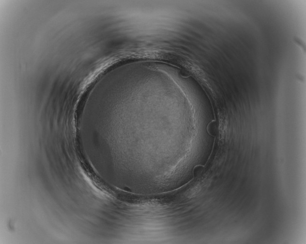 X0000103460674200809191812