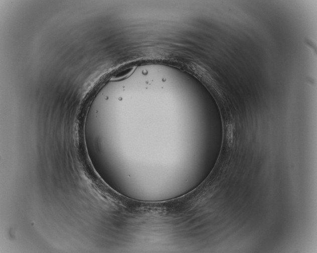 X0000103460676200809191812