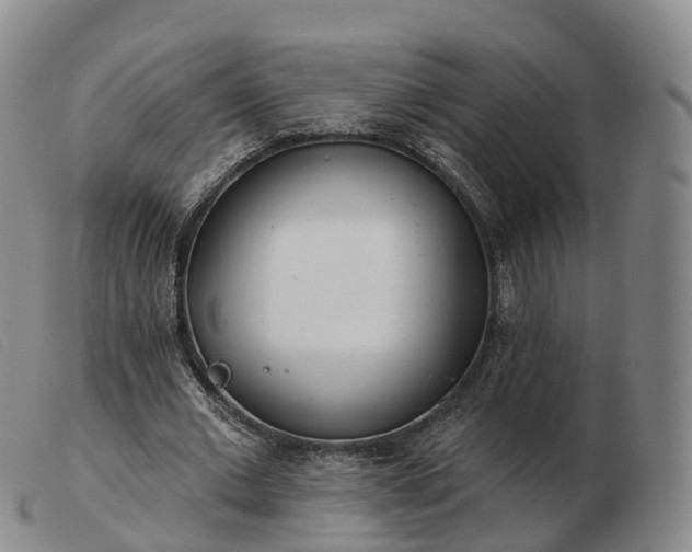 X0000103460677200809191812