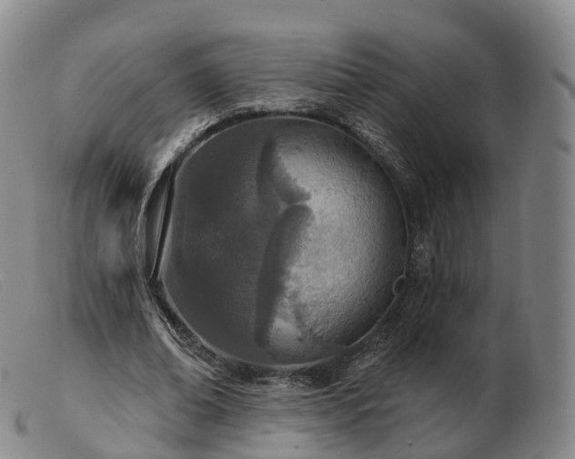 X0000103460678200809191812