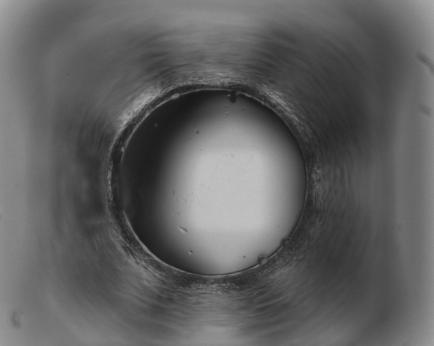 X0000103460679200809191812