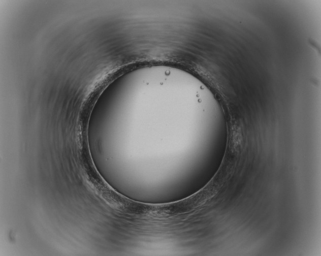 X0000103460680200809191812