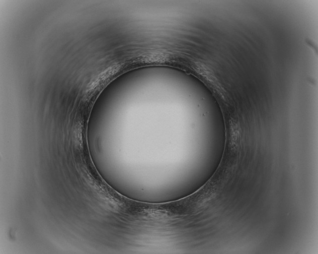 X0000103460681200809191812
