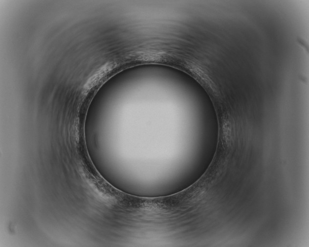 X0000103460682200809191812