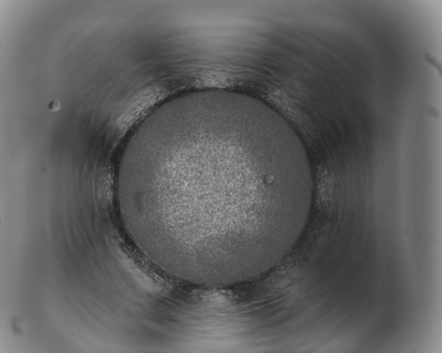 X0000103460683200809191812