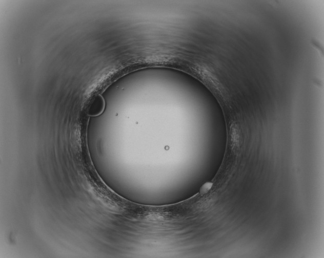 X0000103460684200809191812