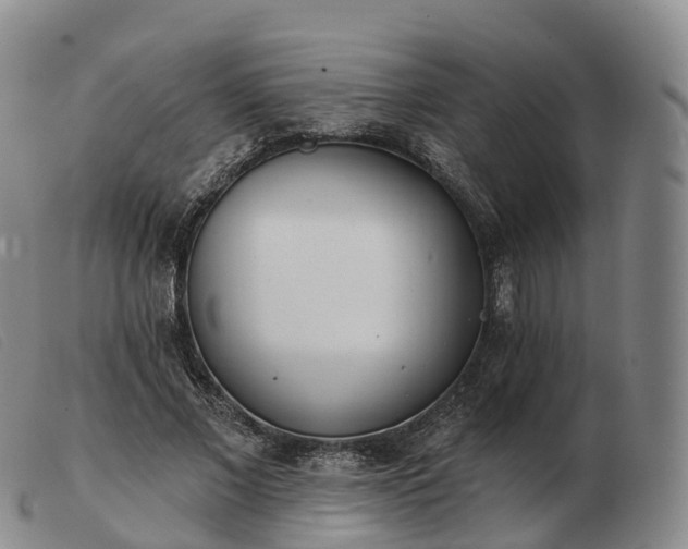 X0000103460685200809191812