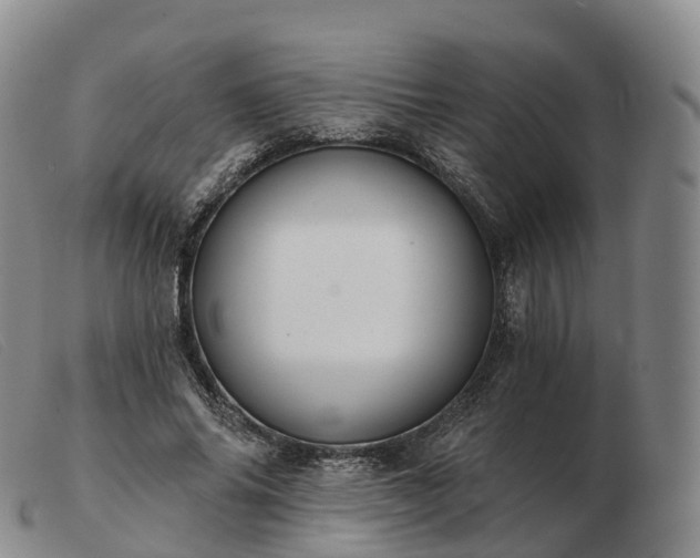 X0000103460686200809191812