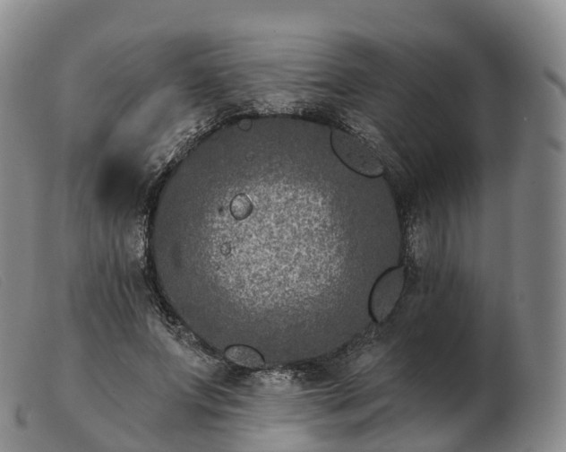 X0000103460687200809191812