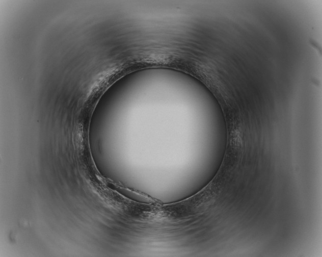 X0000103460688200809191812