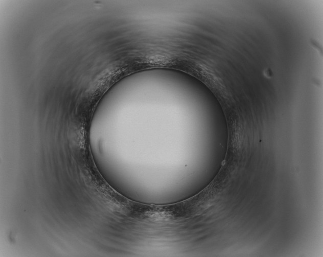 X0000103460689200809191812
