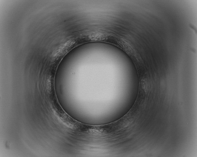 X0000103460690200809191812