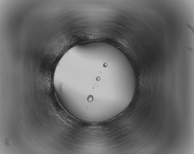 X0000103460691200809191812