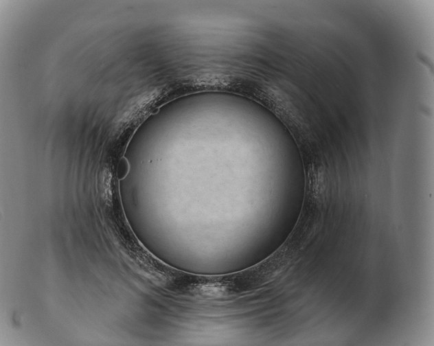 X0000103460692200809191812