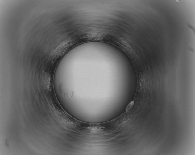 X0000103460693200809191812