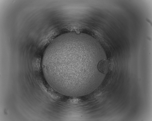 X0000103460695200809191812