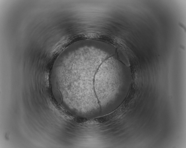 X0000103460696200809191812