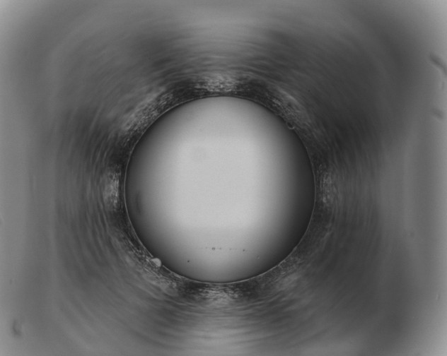 X0000103460697200809191812