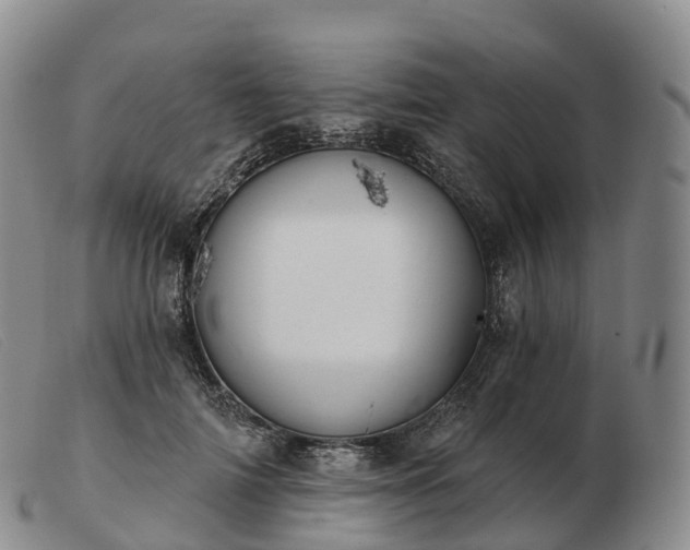 X0000103460698200809191812