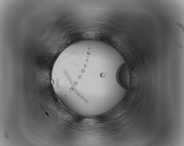X0000103460699200809191812