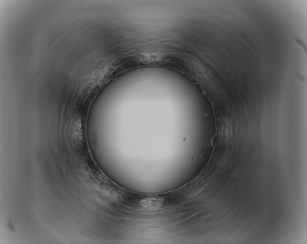 X0000103460700200809191812