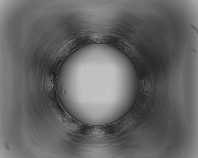 X0000103460702200809191812