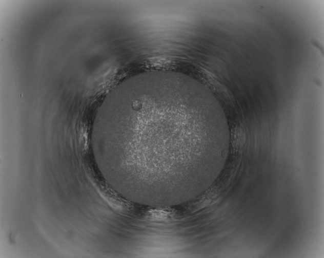 X0000103460703200809191812