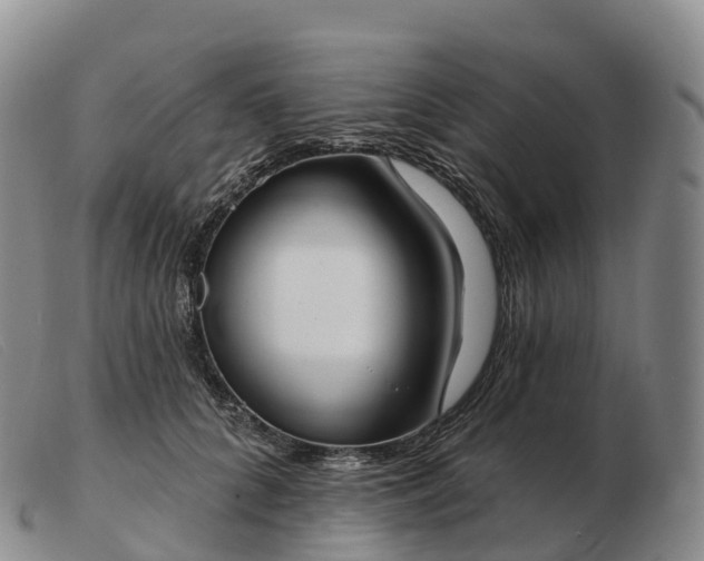 X0000103460704200809191812
