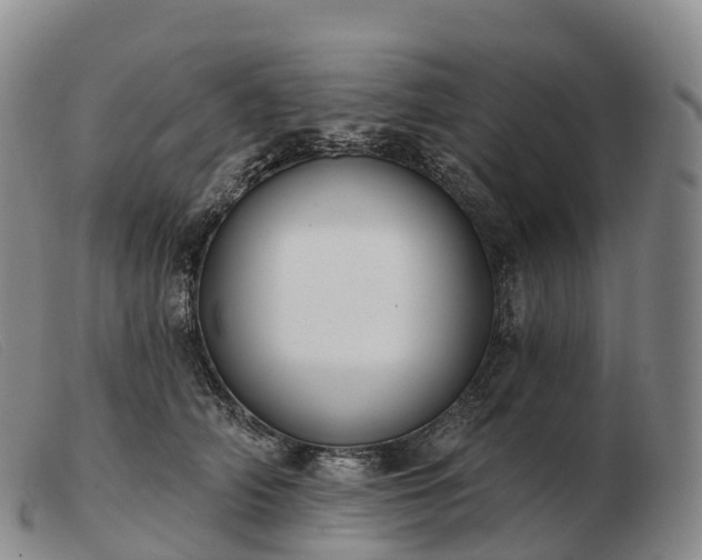 X0000103460706200809191812