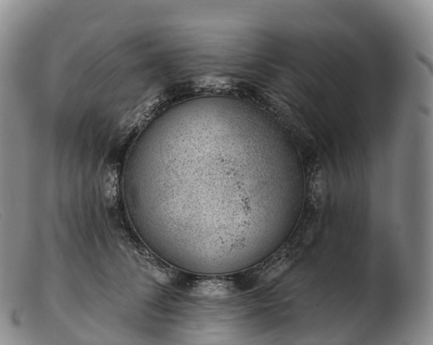 X0000103460708200809191812