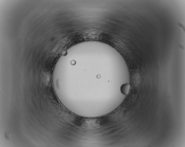 X0000103460709200809191812