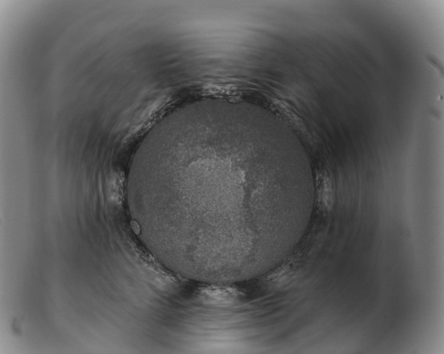 X0000103460712200809191812