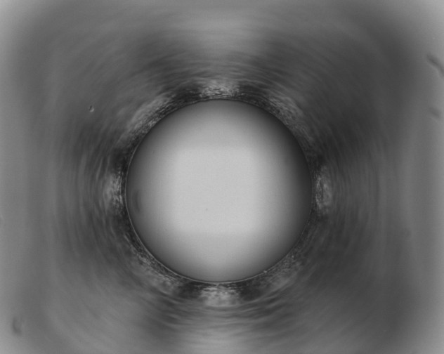 X0000103460714200809191812