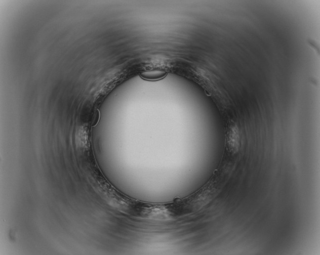 X0000103460715200809191812