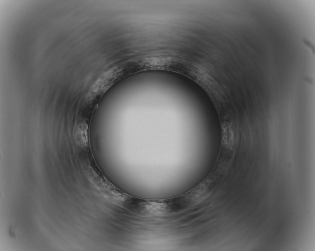 X0000103460718200809191812