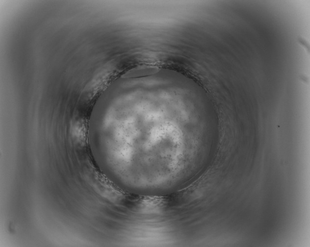 X0000103460720200809191812