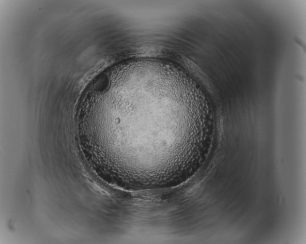 X0000103460721200809191811
