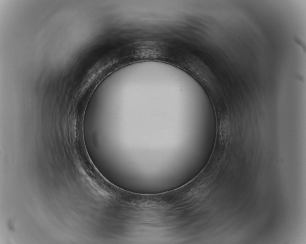 X0000103460722200809191811