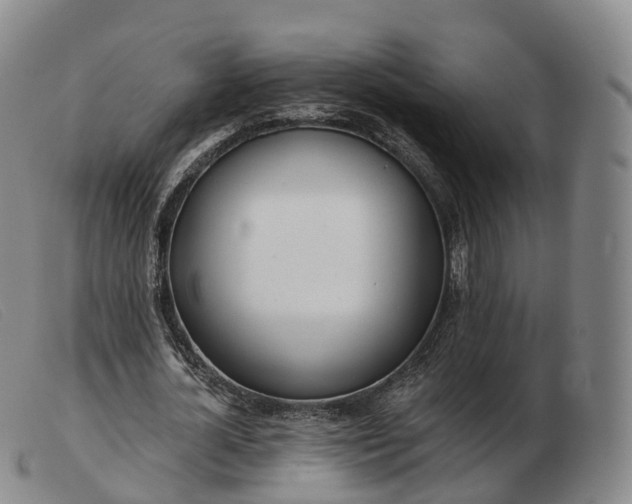 X0000103460724200809191811