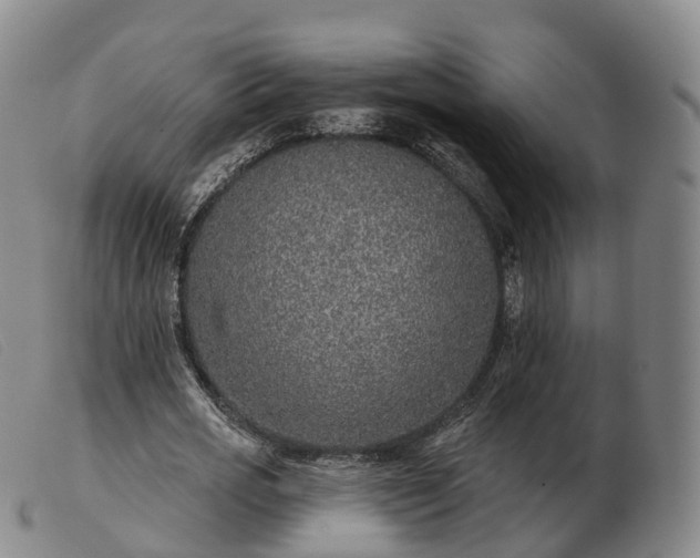 X0000103460725200809191811