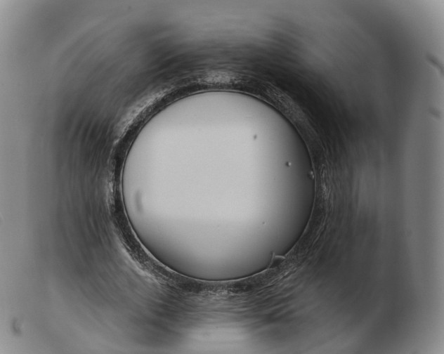 X0000103460728200809191811