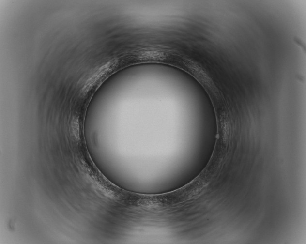 X0000103460729200809191811