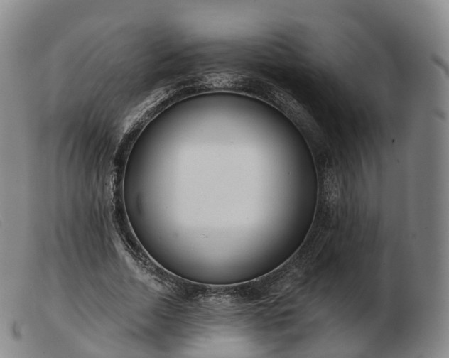 X0000103460730200809191811