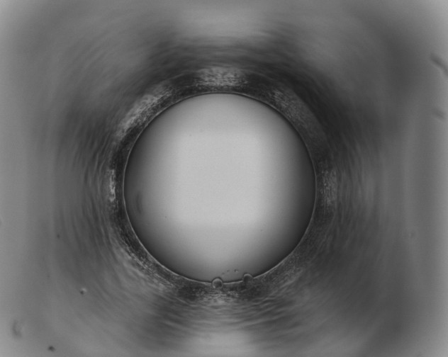 X0000103460731200809191811