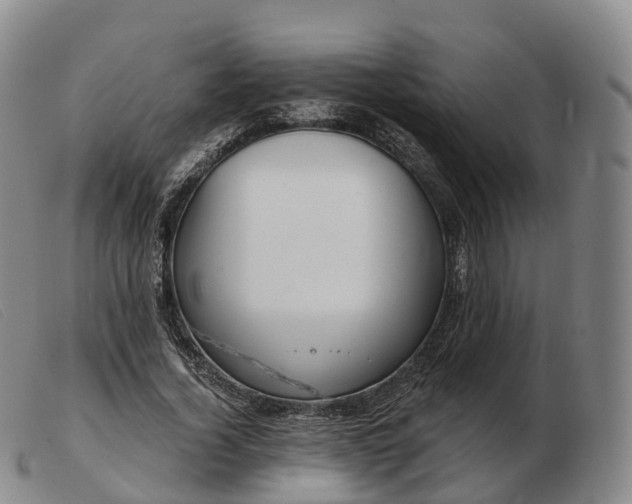 X0000103460732200809191811