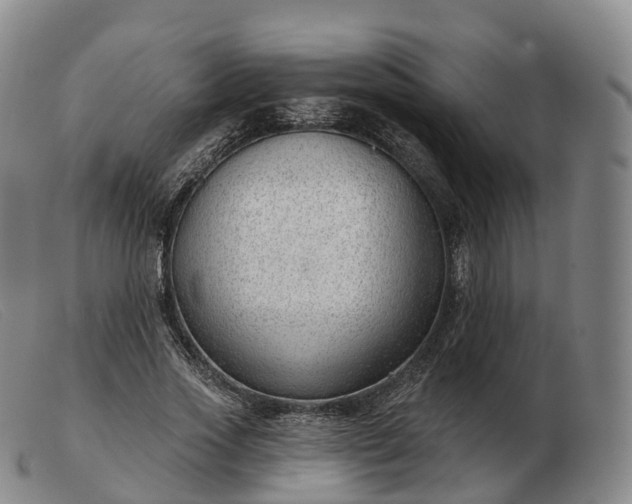 X0000103460733200809191811