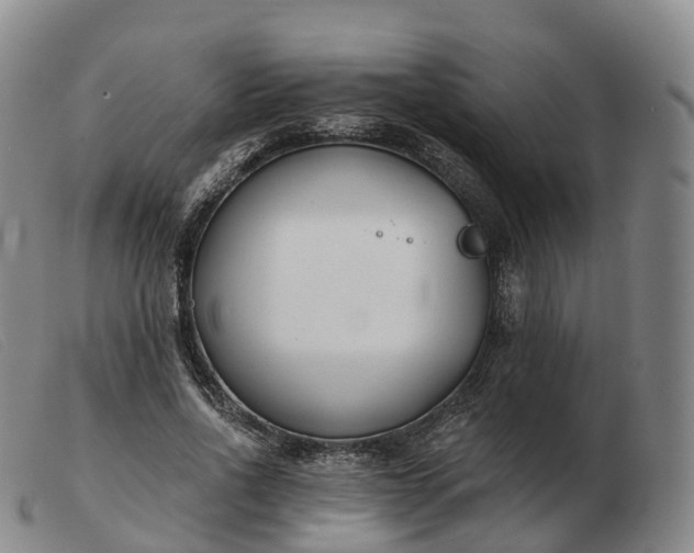X0000103460734200809191811