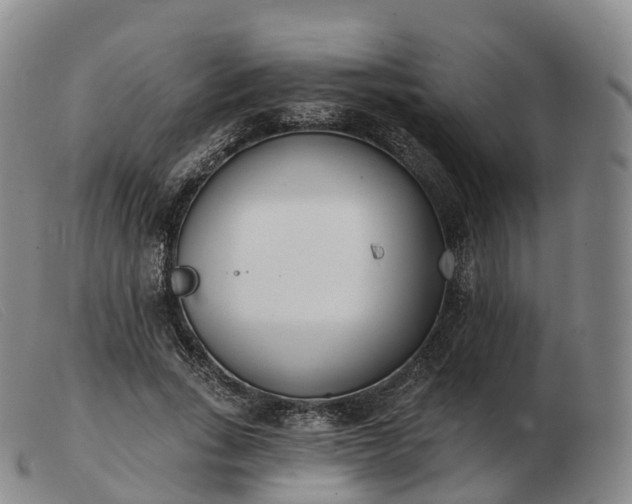X0000103460735200809191811