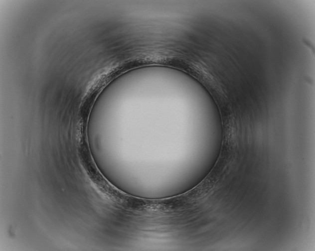 X0000103460736200809191811