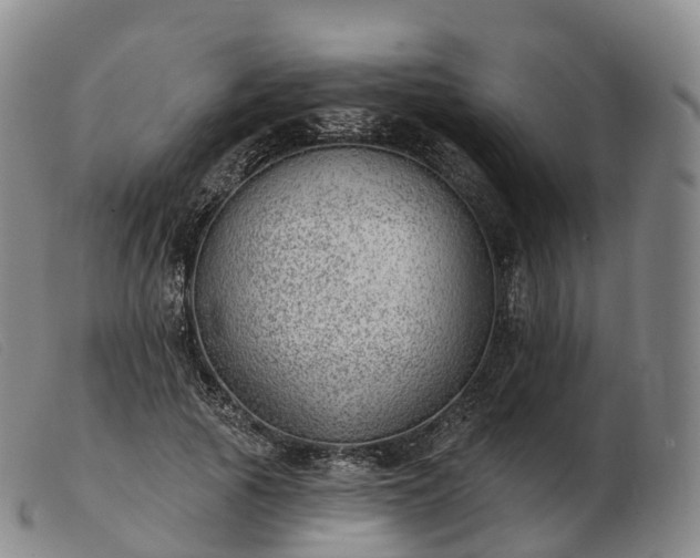 X0000103460737200809191811